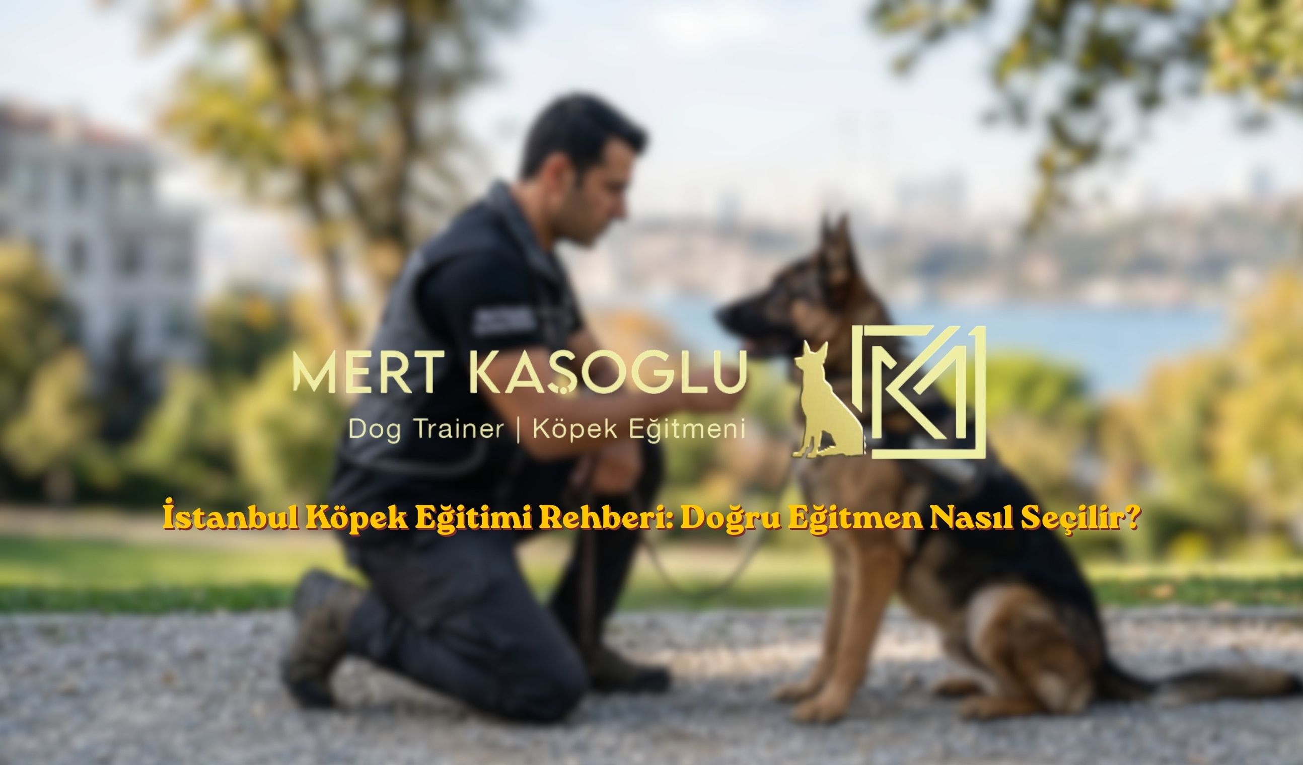 İstanbul Köpek Eğitimi Rehberi Doğru Eğitmen Nasıl Seçilir