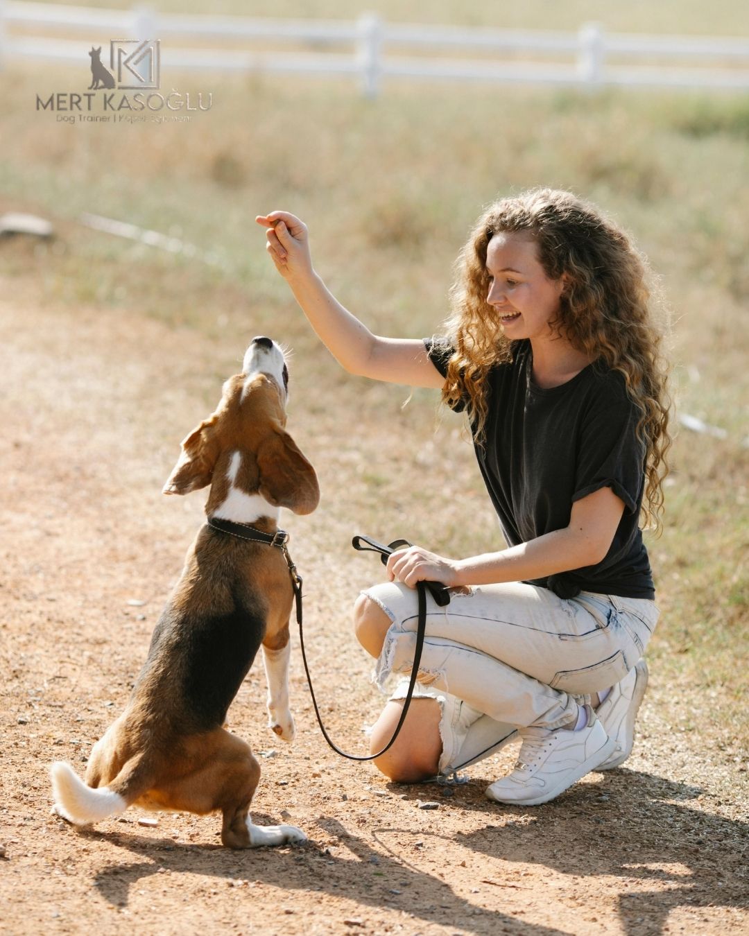 TEMEL İTAAT EĞİTİMİ VE DANIŞMANLIK