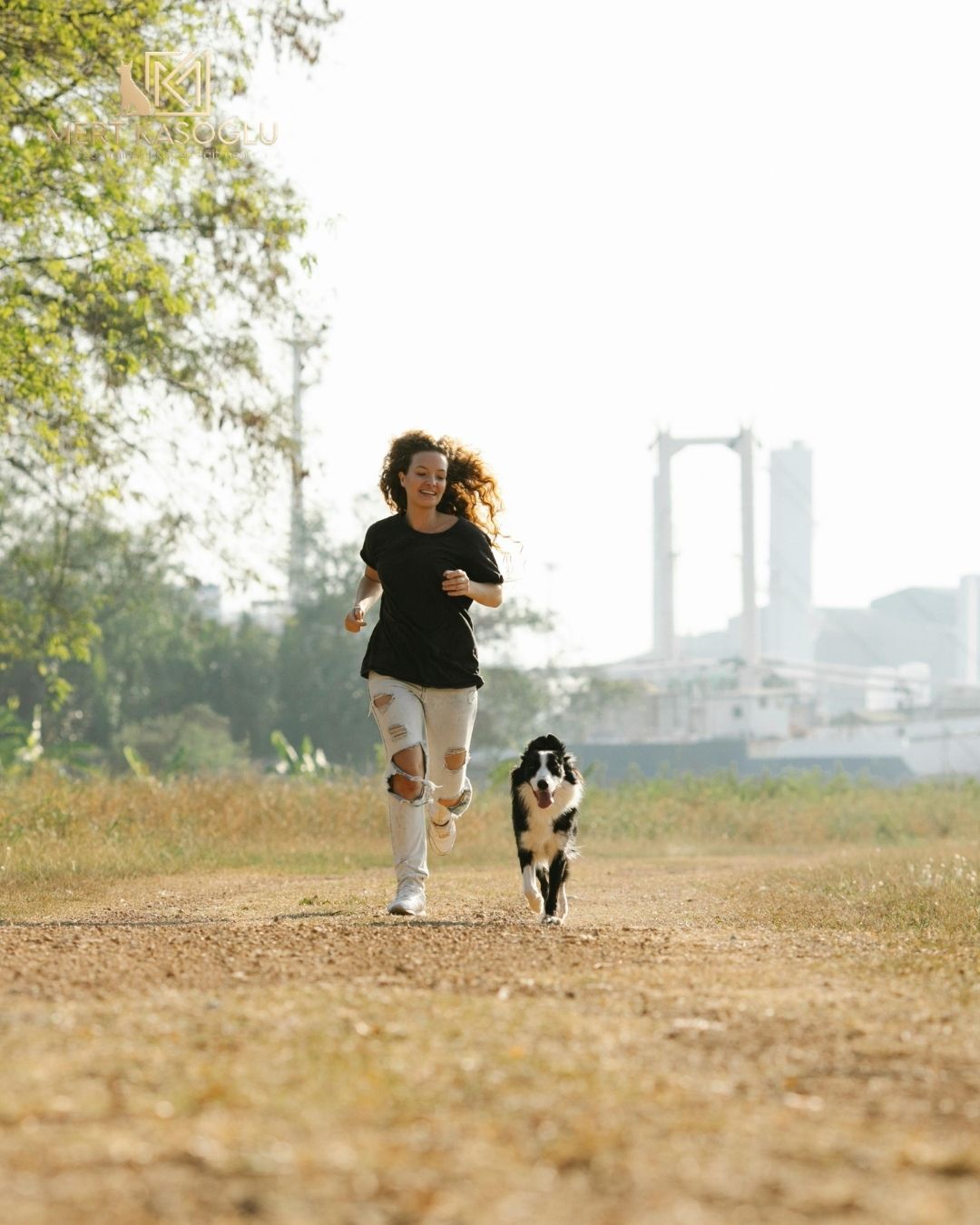 İLERİ İTAAT EĞİTİMİ VE DANIŞMANLIK 