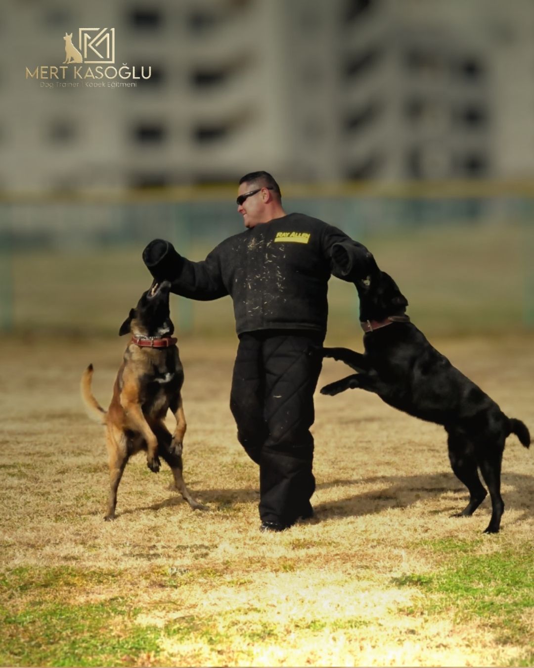 ALAN KORUMA EĞİTİMİ VE DANIŞMANLIK