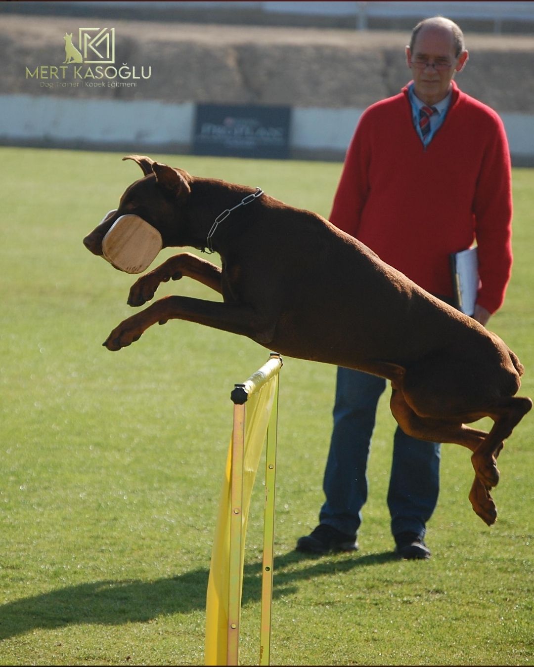 SINAVA HAZIRLIK VE KÖPEKLİ SPORLAR