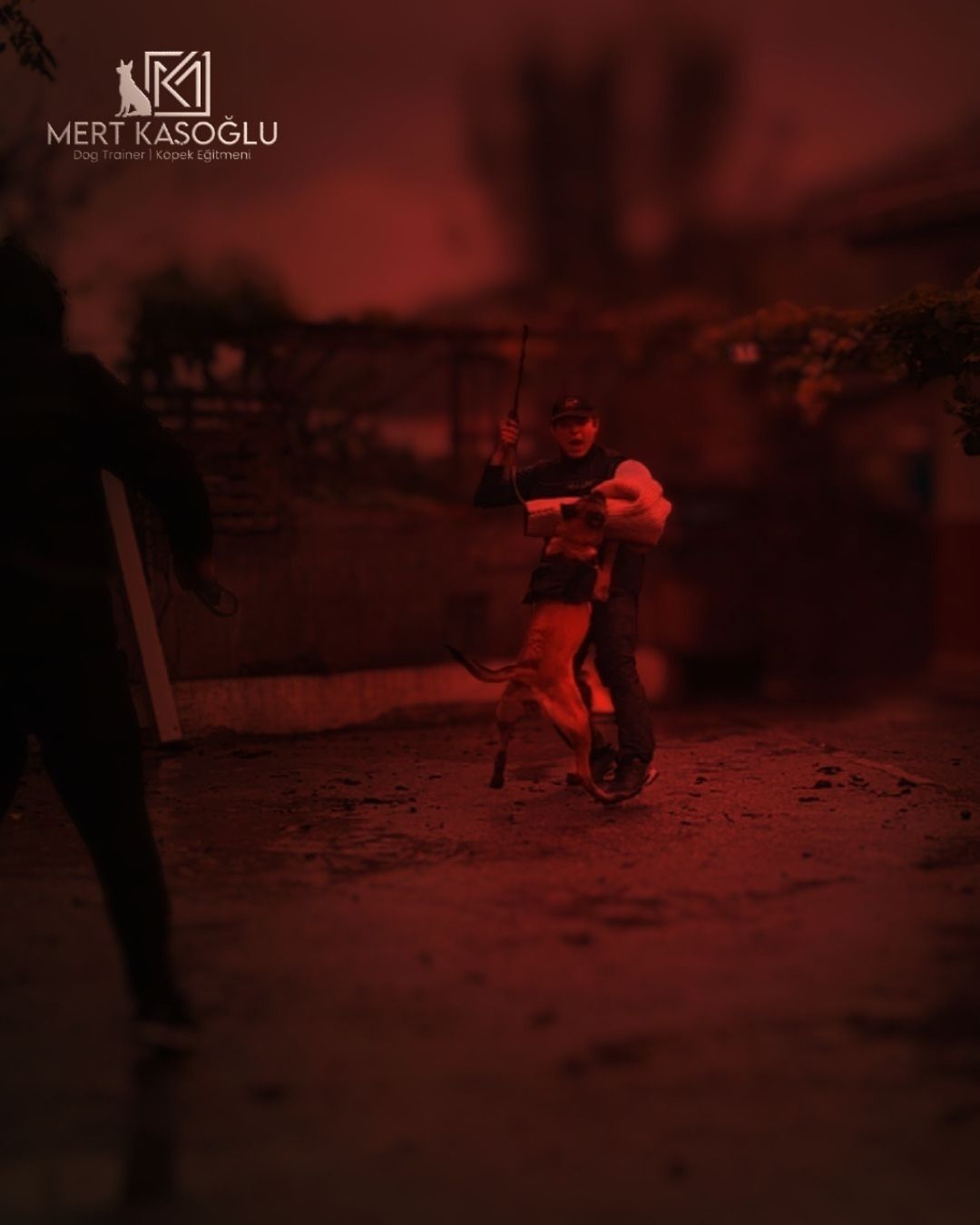 KORUMA EĞİTİMİ VE DANIŞMANLIK