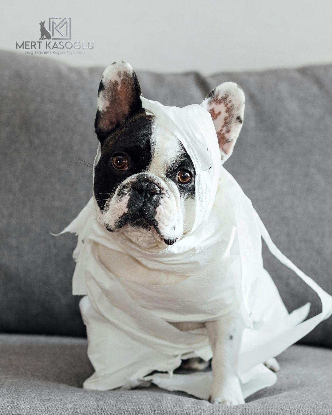 TUVALET EĞİTİMİ VE DANIŞMANLIK