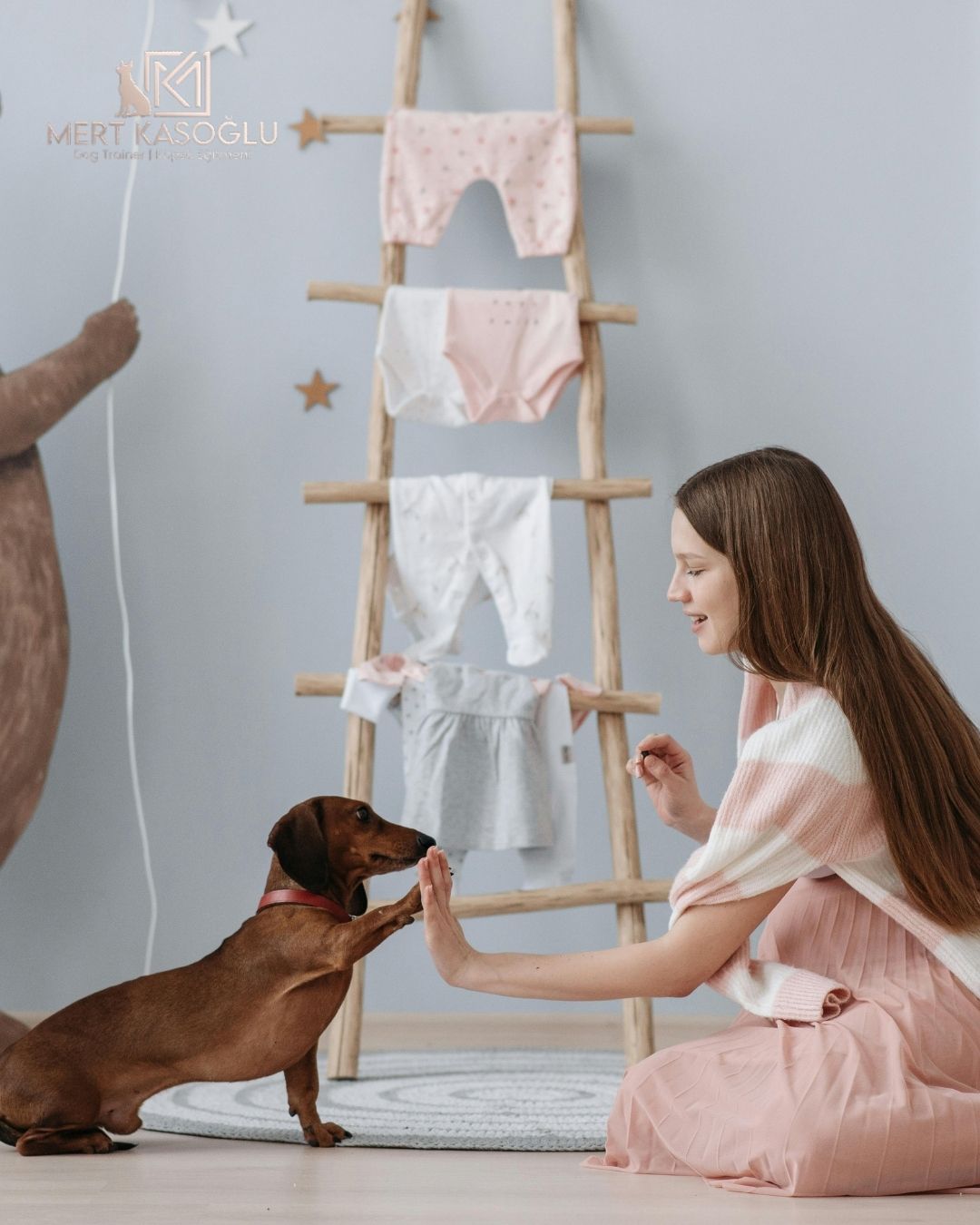 YAVRU UYUM EĞİTİMİ VE DANIŞMANLIK